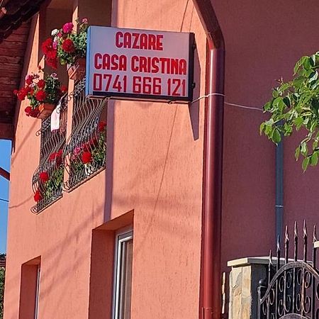 Casa Cristina Hotel Cartisoara Ngoại thất bức ảnh