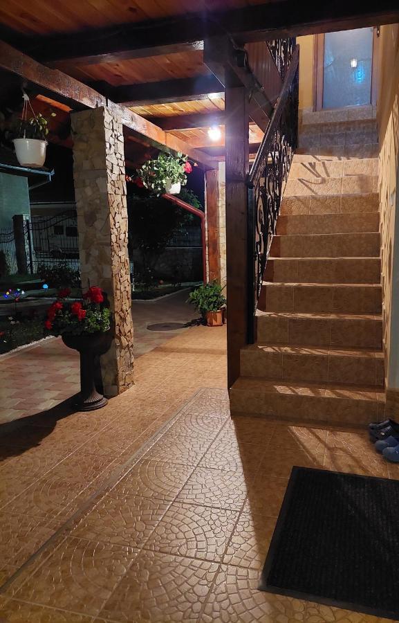 Casa Cristina Hotel Cartisoara Ngoại thất bức ảnh