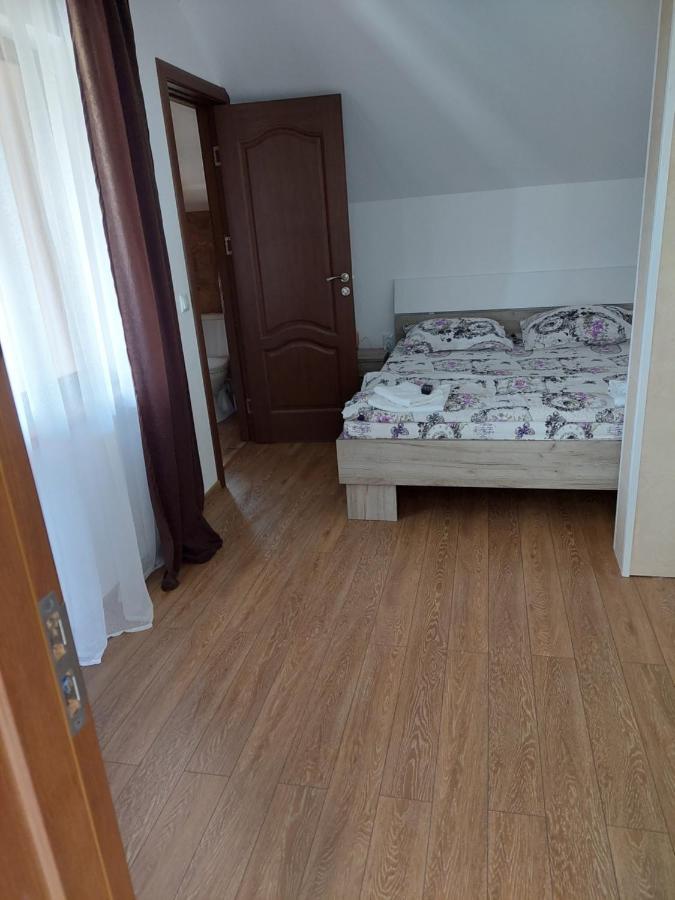 Casa Cristina Hotel Cartisoara Ngoại thất bức ảnh