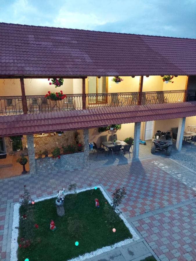 Casa Cristina Hotel Cartisoara Ngoại thất bức ảnh