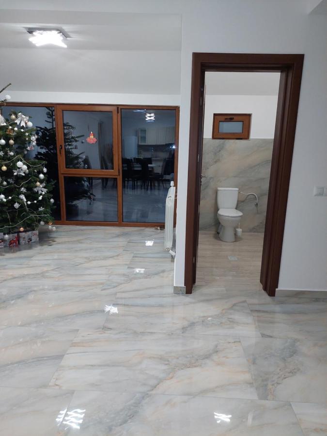 Casa Cristina Hotel Cartisoara Ngoại thất bức ảnh