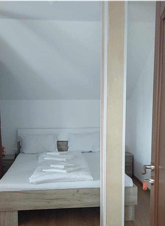 Casa Cristina Hotel Cartisoara Ngoại thất bức ảnh