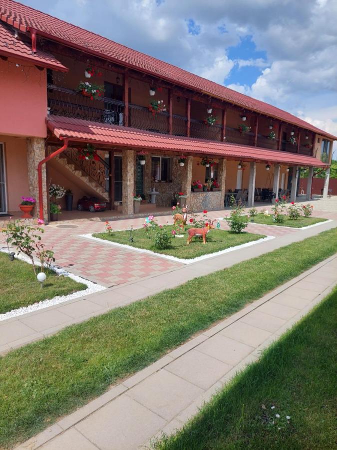 Casa Cristina Hotel Cartisoara Ngoại thất bức ảnh