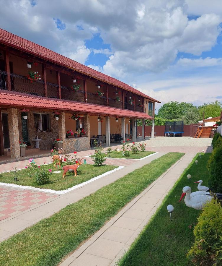 Casa Cristina Hotel Cartisoara Ngoại thất bức ảnh