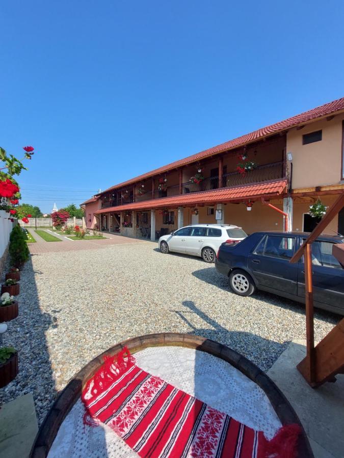 Casa Cristina Hotel Cartisoara Ngoại thất bức ảnh