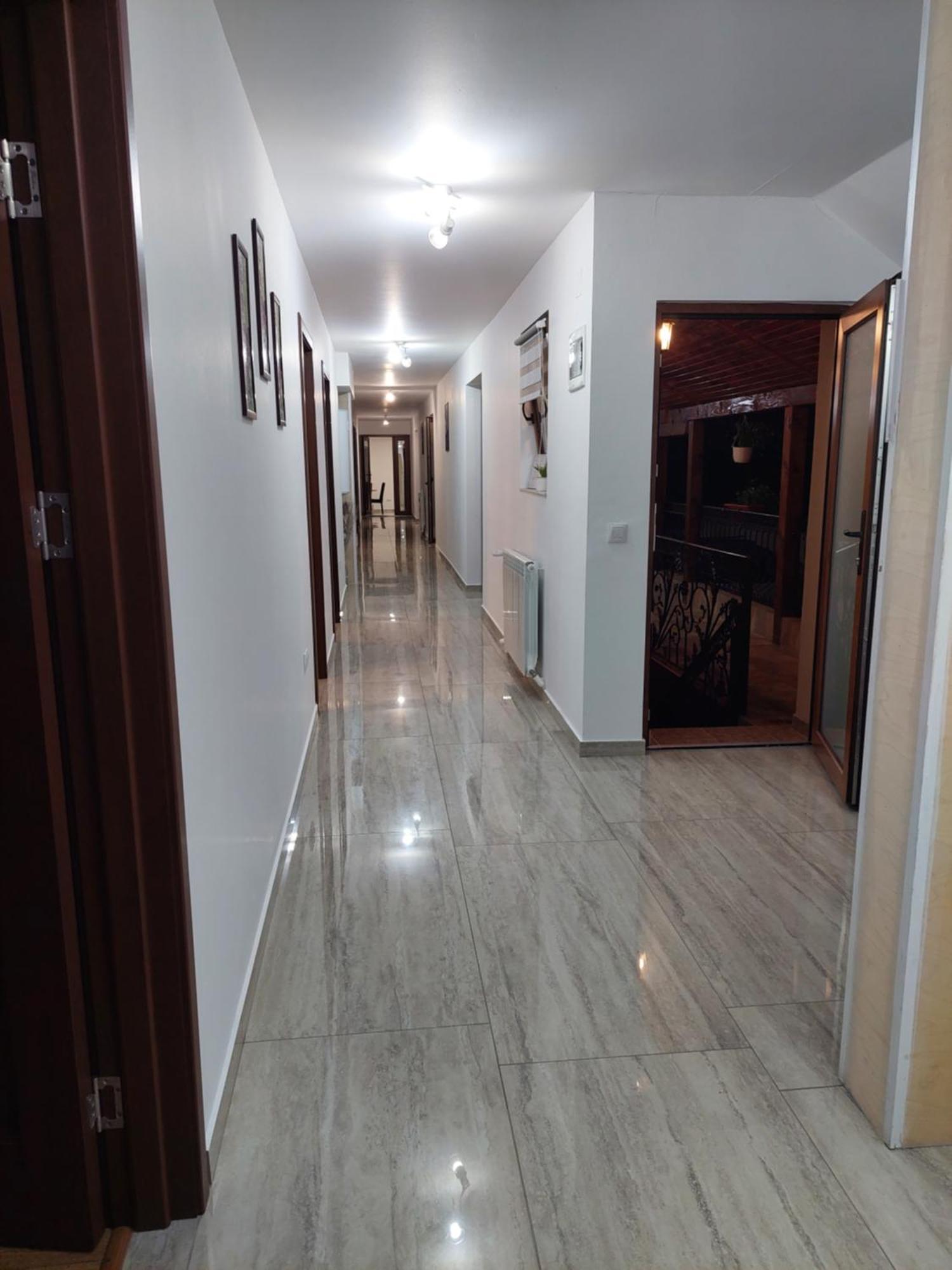 Casa Cristina Hotel Cartisoara Ngoại thất bức ảnh